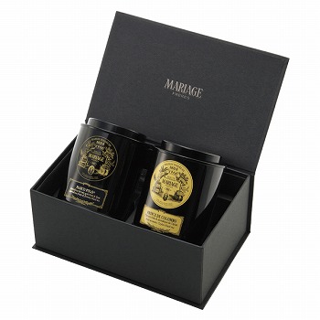 }A[W t[ g̑蕨 (GS-1A)